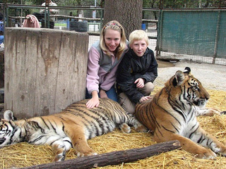 Illustration for article titled This Zoo Claims To Make Tigers Friendly By Raising Them As Dogs